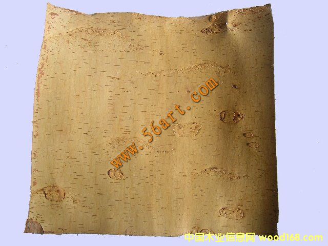 ���Ƥ��Ԕ����B