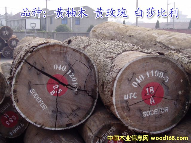 �S��ľ�Sõ���ɯ������Ԕ����B