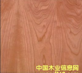 ����ɽ�y��Ԕ��(x��)��B