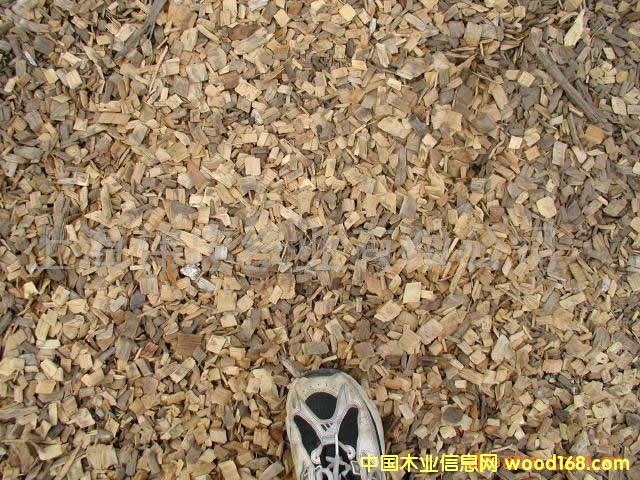 ľƬ��Ԕ��(x��)��B