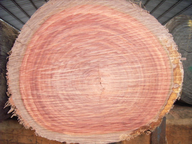 �Ĵ������t̴��Ԕ��(x��)��B