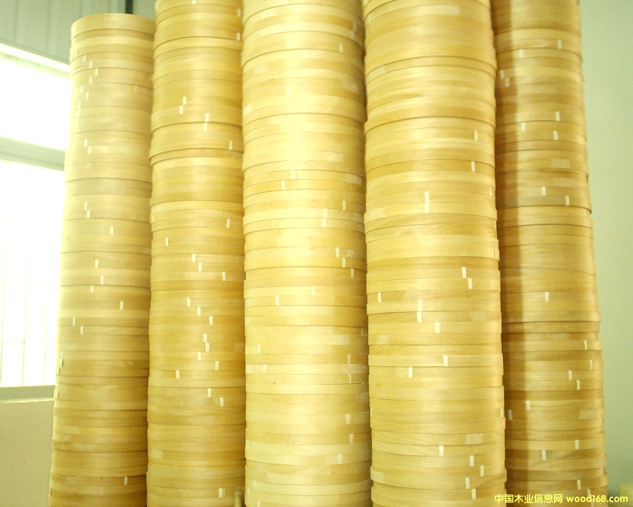 ľƤ��߅�l��Ԕ����B