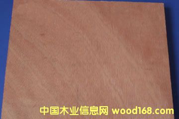 plywood��Ԕ����B