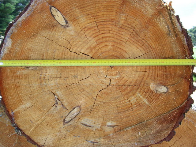 ����ԭʼ�����ɵ�Ԕ����B