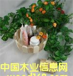 �ߙnľ����ԡ���bϵ�е�Ԕ��(x��)��B