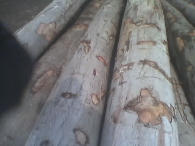 ��ľ��Ԕ��(x��)��B