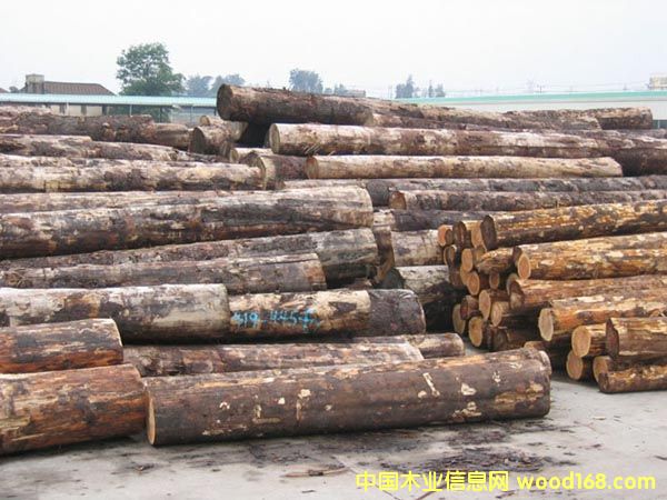 �Fɼԭľ��Ԕ��(x��)��B