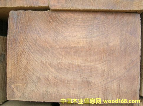 ������ľ��Ԕ��(x��)��B