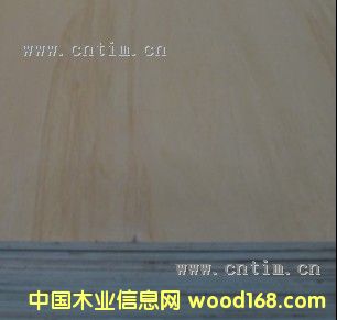 ����(y��ng)ؐ��ɼ�z�ϰ��Ԕ��(x��)��B