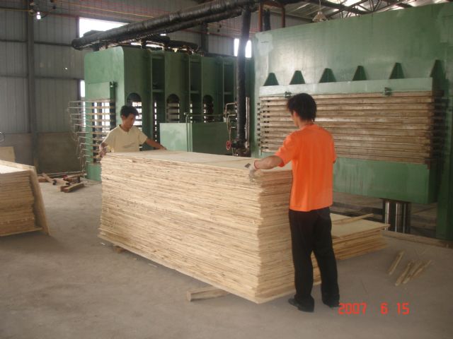 ƽ�кϰ壨LVL�����g����LVL����Ԕ��(x��)��B