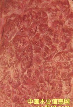 ����(d��ng)�Ș���