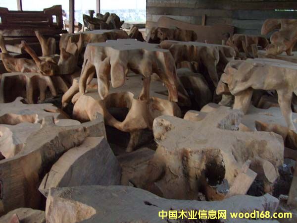 ����5��Ԕ����B