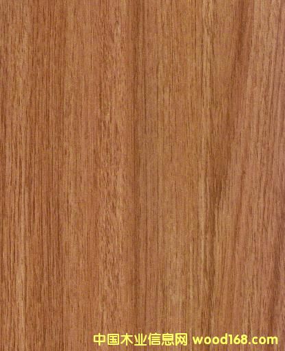 8017�����ͺϵذ�