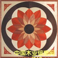 �c(di��n)���鿴NSF-F6-Hua009�Ŵ�DƬ