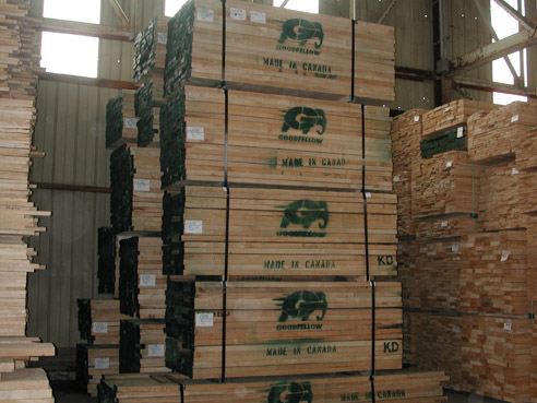 Hard maple��Ԕ��(x��)��B