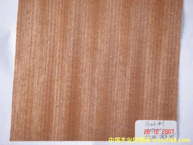 ɳ������������������