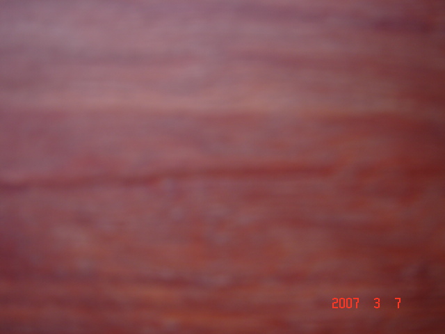 ���޼tľ��5