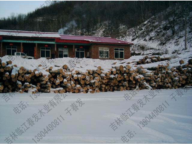 ��ľ��Ԕ����B