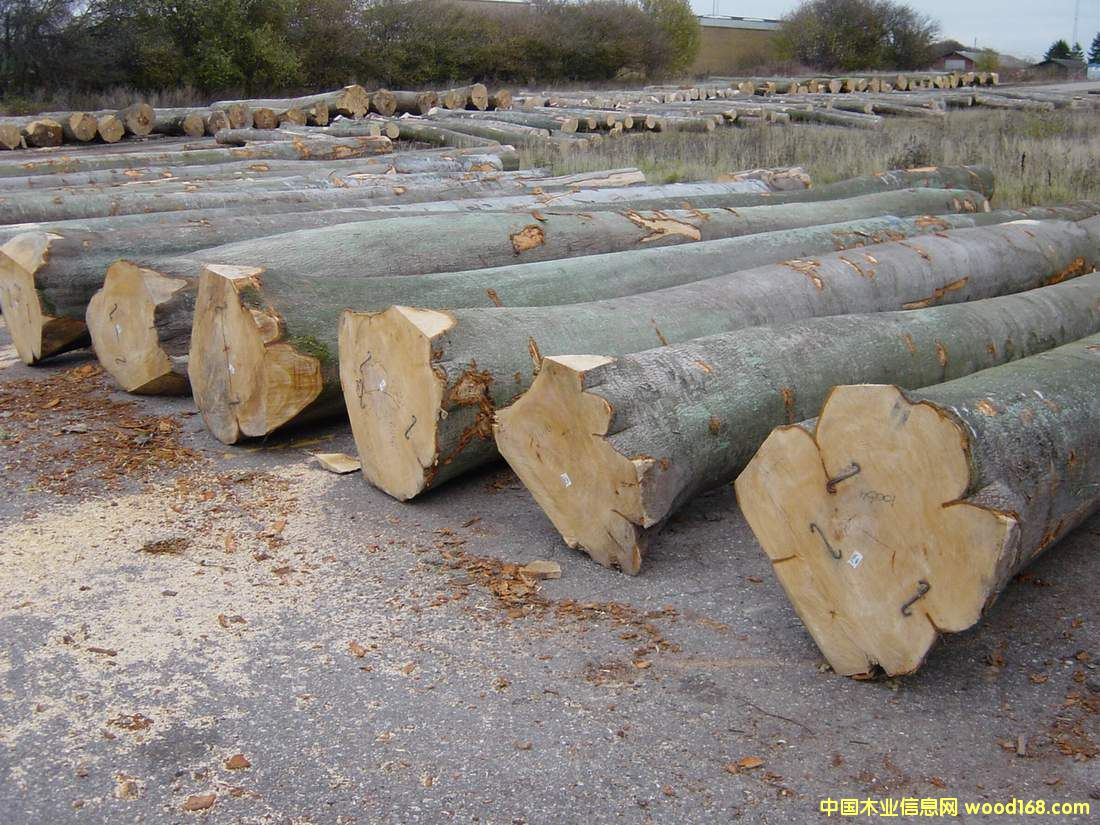 ����ľԭľ��Ԕ����B