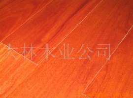 ��¡��Ԕ��(x��)��B