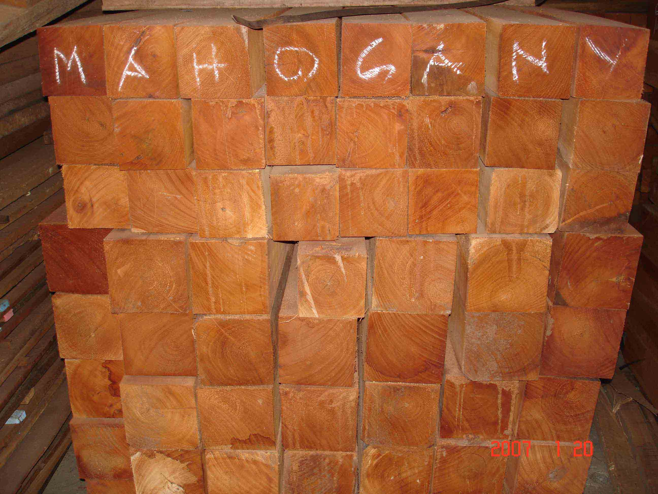 �c���鿴Mahoni�Ŵ�DƬ