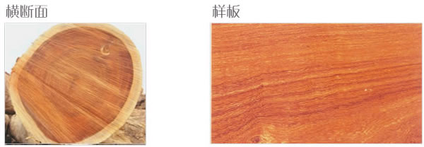 ���޼t̴��Ԕ��(x��)��B