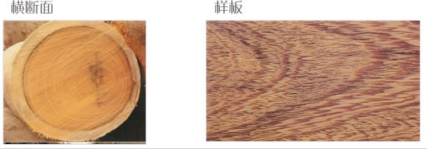 �u��ľ��Ԕ��(x��)��B