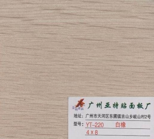 ��ľ��Ԕ����B