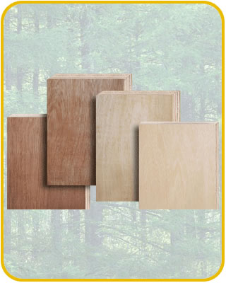 �����Ԕ��(x��)��B