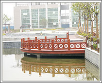 ����ľ��Ԕ��(x��)��B