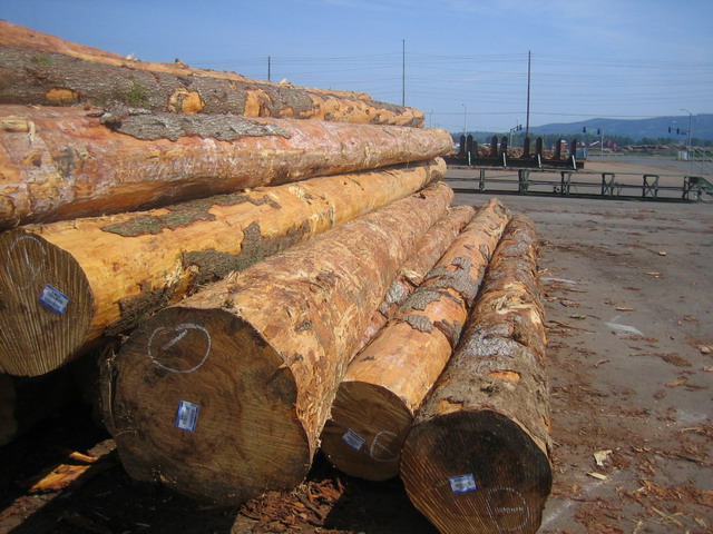 �Fɼ������ԭľ��Ԕ����B