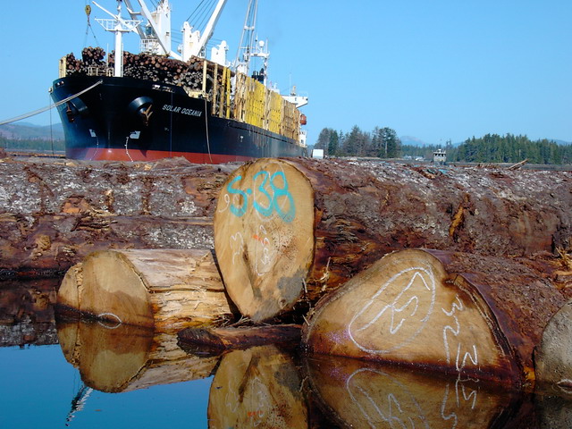 ��ɼԭľ��Ԕ����B