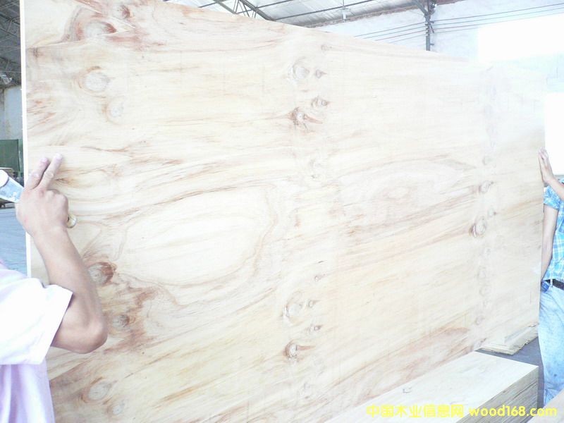 ݗ����D�ȼ�(j��)�z�ϰ�