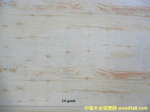 ������CX����z�ϰ�