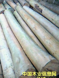 ��(y��u)�|(zh��)��ɼ��Ԕ��(x��)��B