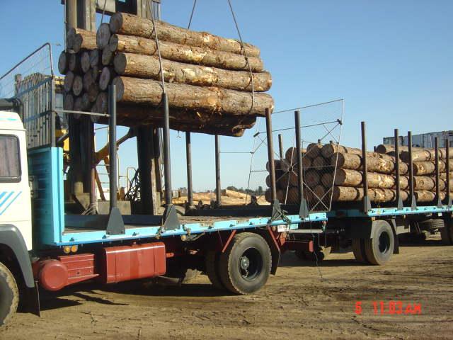 ��ľԭľ��Ԕ��(x��)��B