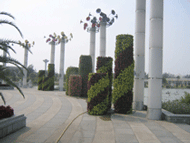 ���w���������w����