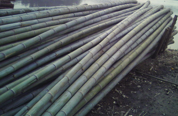 ë����񣩵�Ԕ��(x��)��B