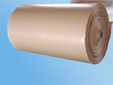 �ӽ�ţƤ���z��ĸ����Ԕ��(x��)��B