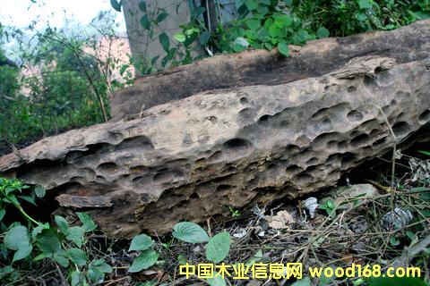 ꎳ�ľ-4��Ԕ����B