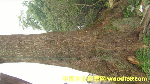 ����(y��ng)����õ�С�~�����Ř�/������Ԕ����B