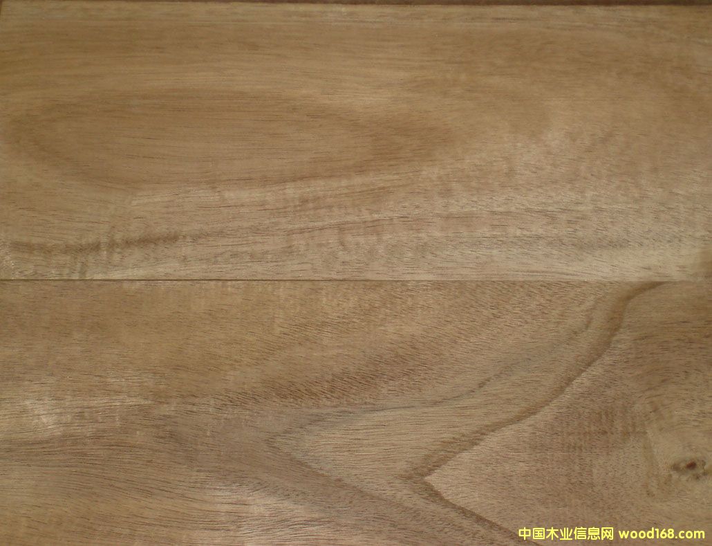 ��˼ľľ�����ذ��ϵ�Ԕ��(x��)��B