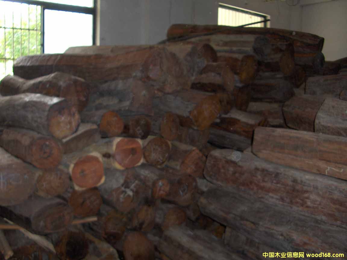 �t��֦��Ԕ��(x��)��B