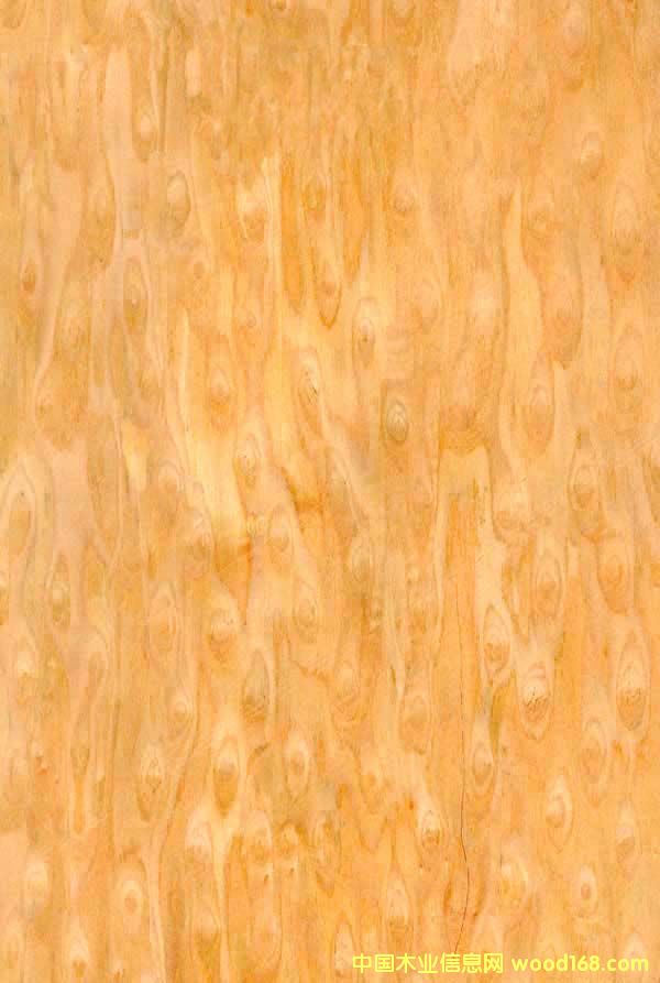 ؈�۵�Ԕ��(x��)��B