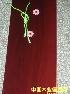 ���_���Ԕ��(x��)��B