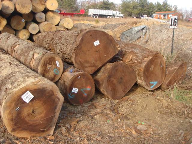 Walnut��Ԕ��(x��)��B