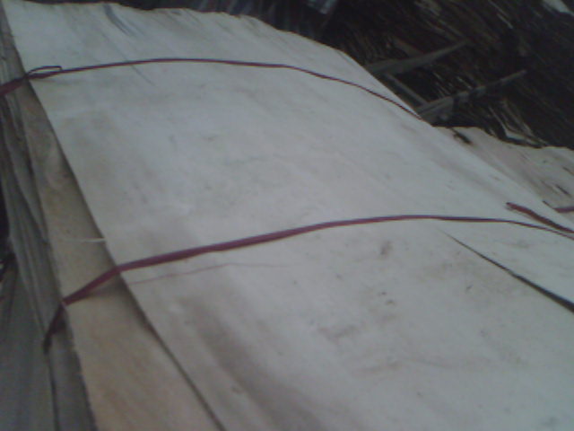 ľƤ��Ԕ��(x��)��B