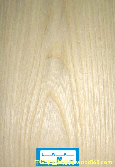 ��ľ��Ԕ��(x��)��B