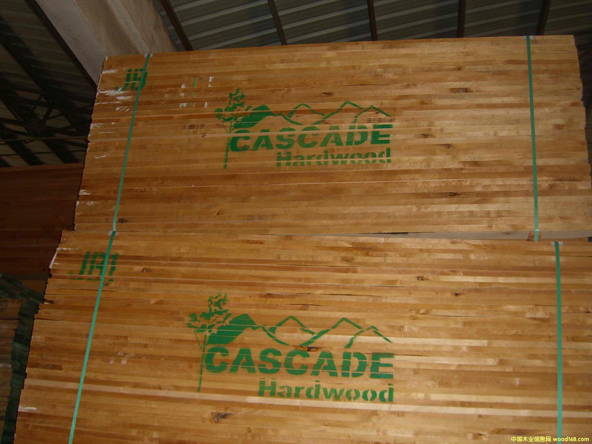 ��������ľ��Ԕ����B