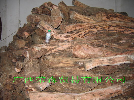 ����ľԭľ��Ԕ����B